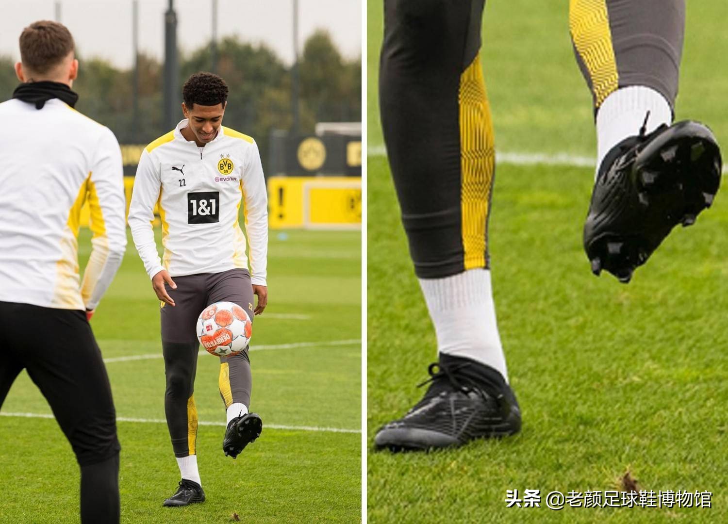 这也是凯尔 这也是凯尔