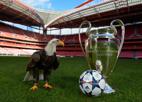 产出大量许 产出大量许